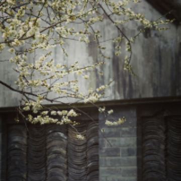 評論圖片 1
