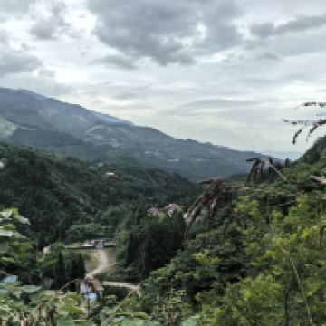 評論圖片 4