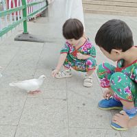 評論圖片 4