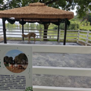 評論圖片 5