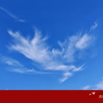 評論圖片 9