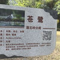 評論圖片 1