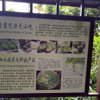 評論圖片 7