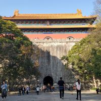 評論圖片 5