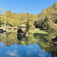 評論圖片 1