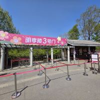 評論圖片 4