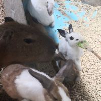 評論圖片 3