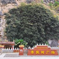 評論圖片 8