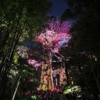 評論圖片 2