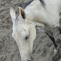 評論圖片 5
