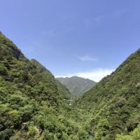 評論圖片 5