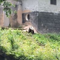 評論圖片 6
