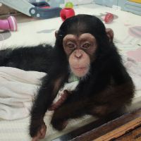 評論圖片 7