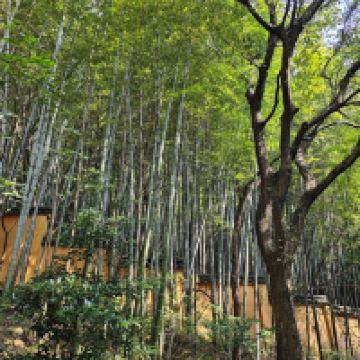 評論圖片 3