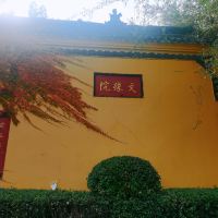 評論圖片 3