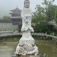評論圖片 5