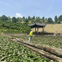 評論圖片 3