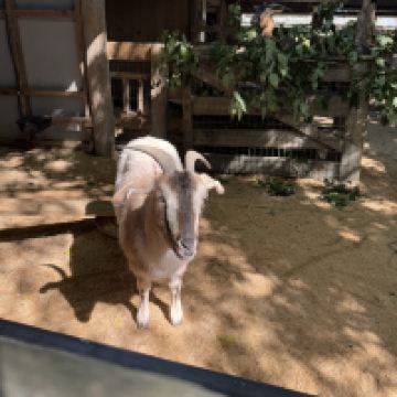 評論圖片 6