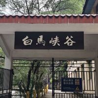評論圖片 4