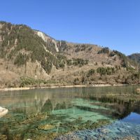 評論圖片 6