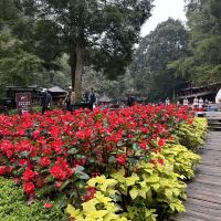 評論圖片 7