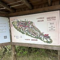 評論圖片 3