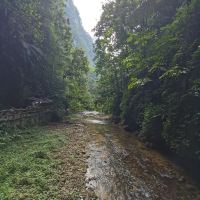 評論圖片 1