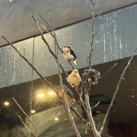 評論圖片 3