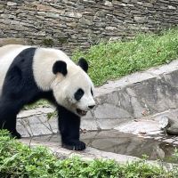 評論圖片 5