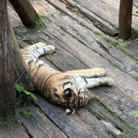 評論圖片 2