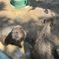 評論圖片 2
