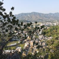 評論圖片 3