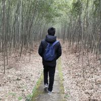 評論圖片 2