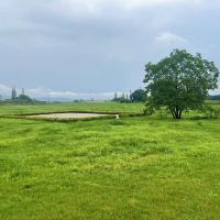 評論圖片 6