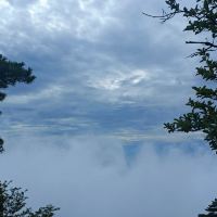 評論圖片 1