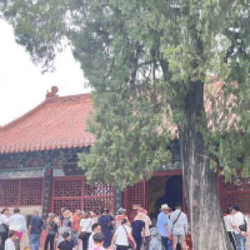 評論圖片 4