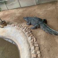 評論圖片 8