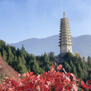 評論圖片 1
