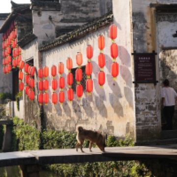 評論圖片 8
