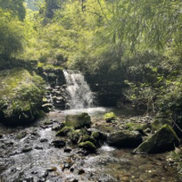 評論圖片 2