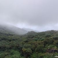 評論圖片 5