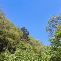 評論圖片 8
