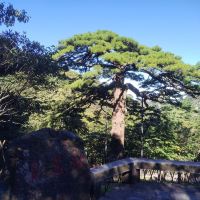 評論圖片 2