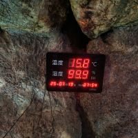 評論圖片 2