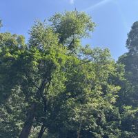 評論圖片 8