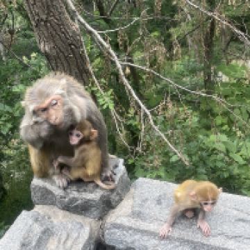 評論圖片 7