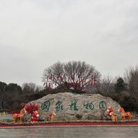 評論圖片 1