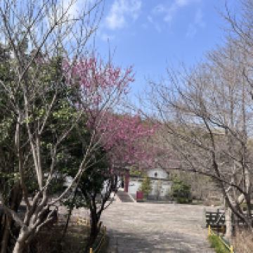 評論圖片 8