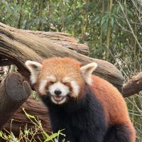 評論圖片 8