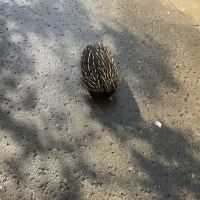 評論圖片 5